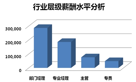 收入证明_会展行业收入(2)